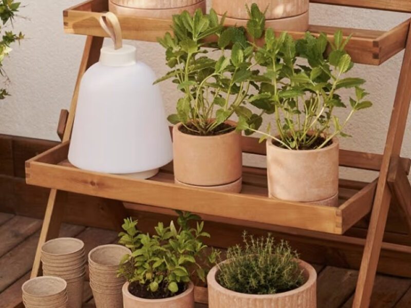Grow your own herbs in an outdoor acacia wood verticle unit