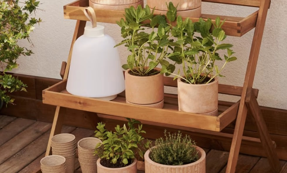 Grow your own herbs in an outdoor acacia wood verticle unit