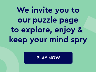 The Spry Finance puzzle page link - play now button