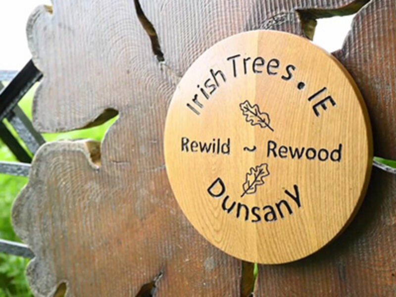Spry Finance partnership with Irish Trees